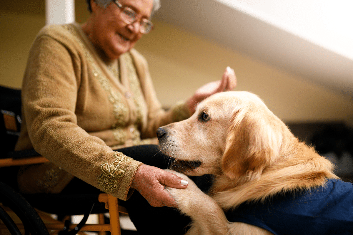 Pet Food Assistance